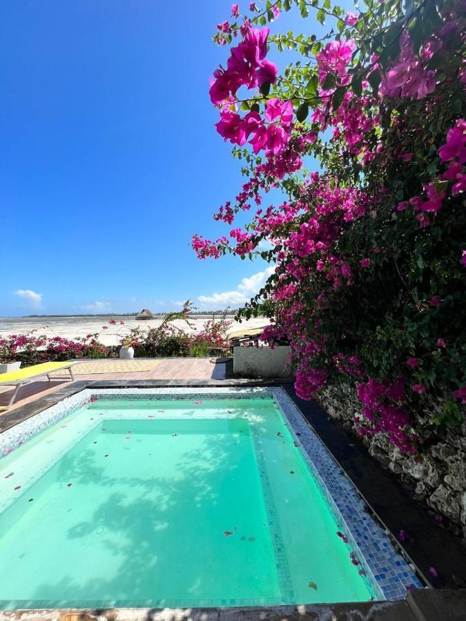 Malcom Residence 2 Mdudu Mkubwa エクステリア 写真